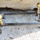 Old brass chenets foot in cabriole