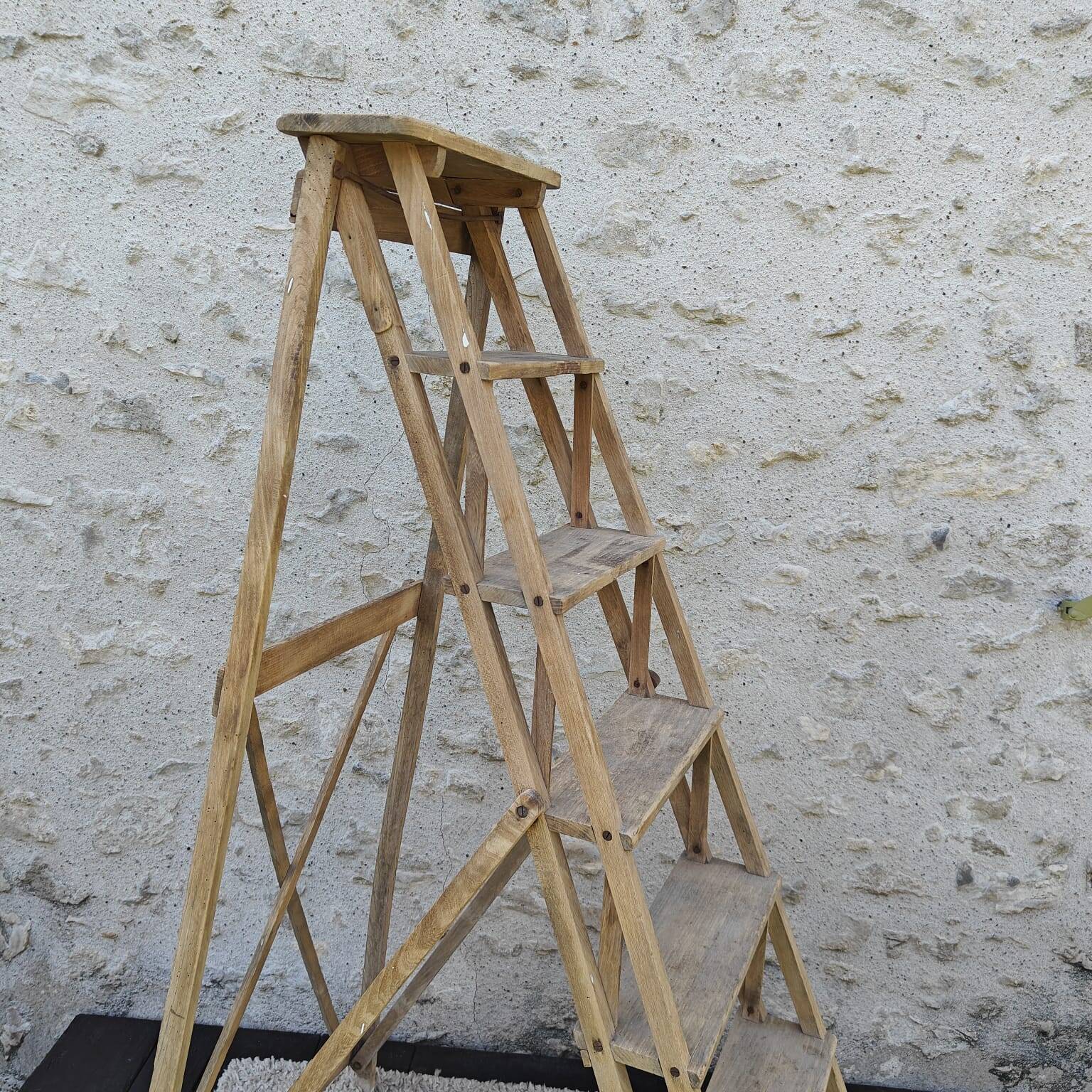 Large stepladder