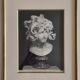 Photographie ancienne Brogi, Alinari, Tête de Méduse, vers 1900