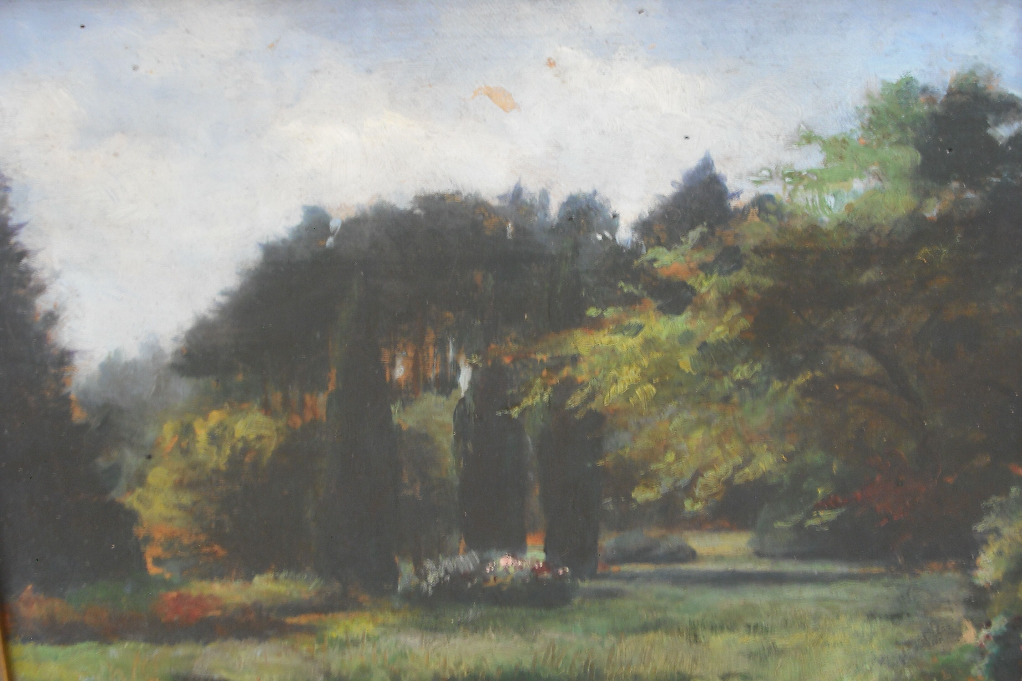 Landscape, wood oil 43 / 34.5