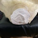 Bust of Maximilien Robespierre