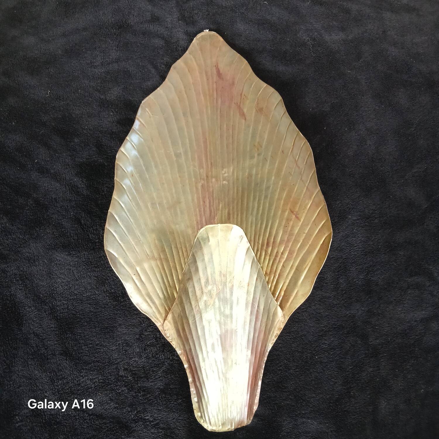 Huge shell art wall light