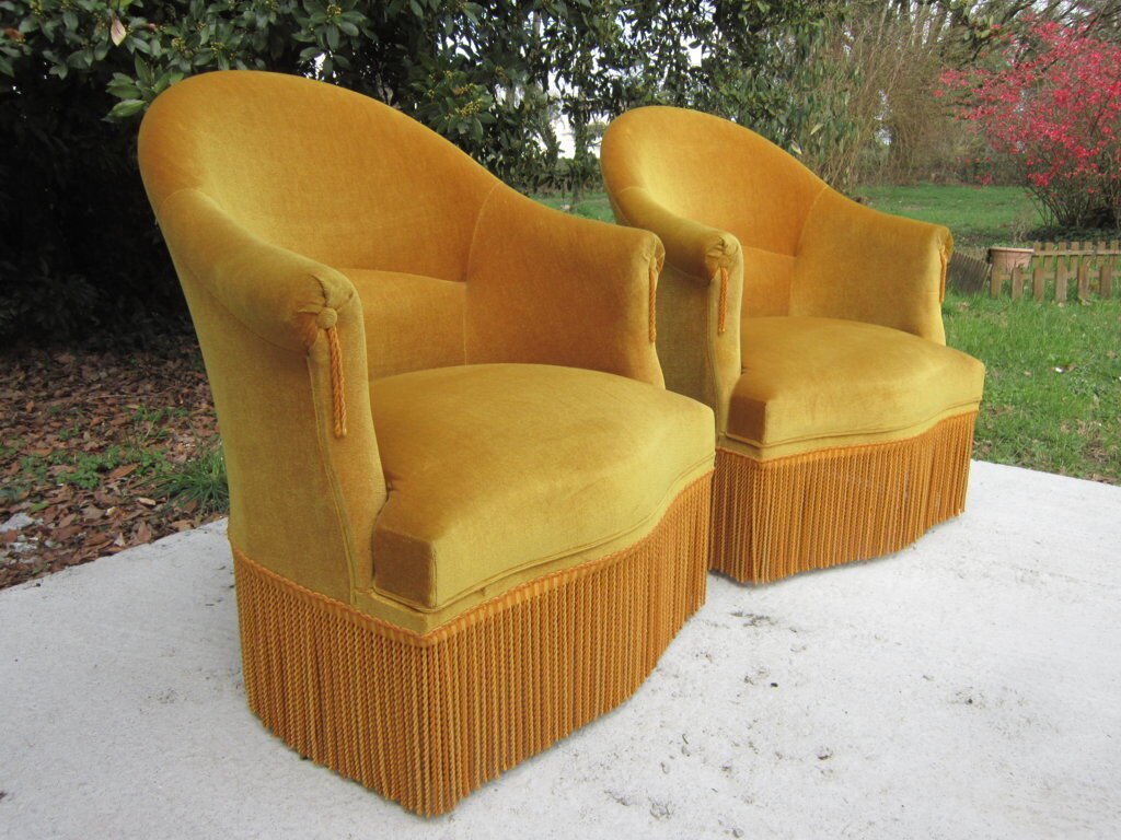 Pair of armchairs velvet Toad