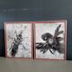 Pair of old silver photographs of insects S Celebonovic