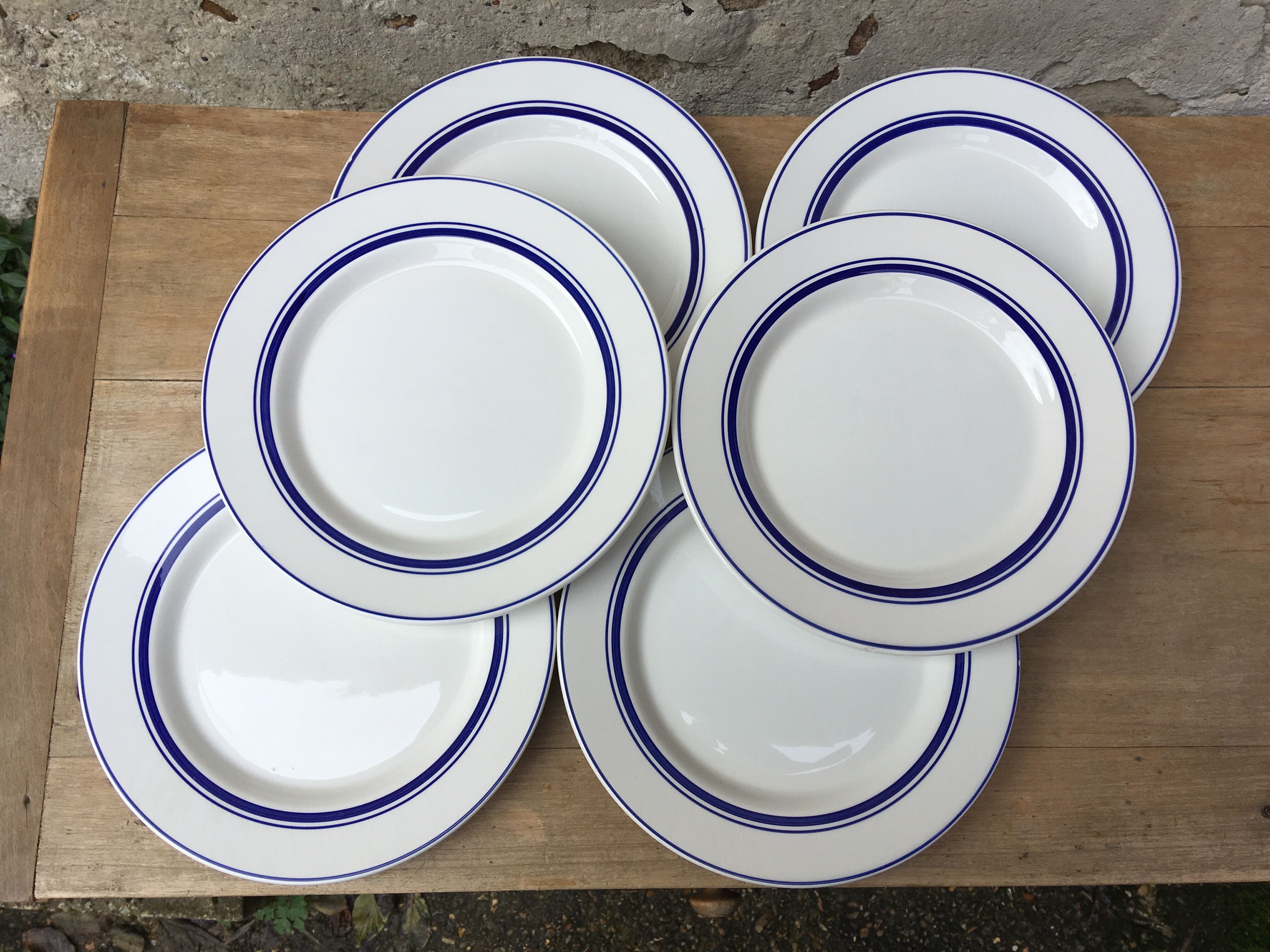 Flat plates with blue trims Quadrifoglio