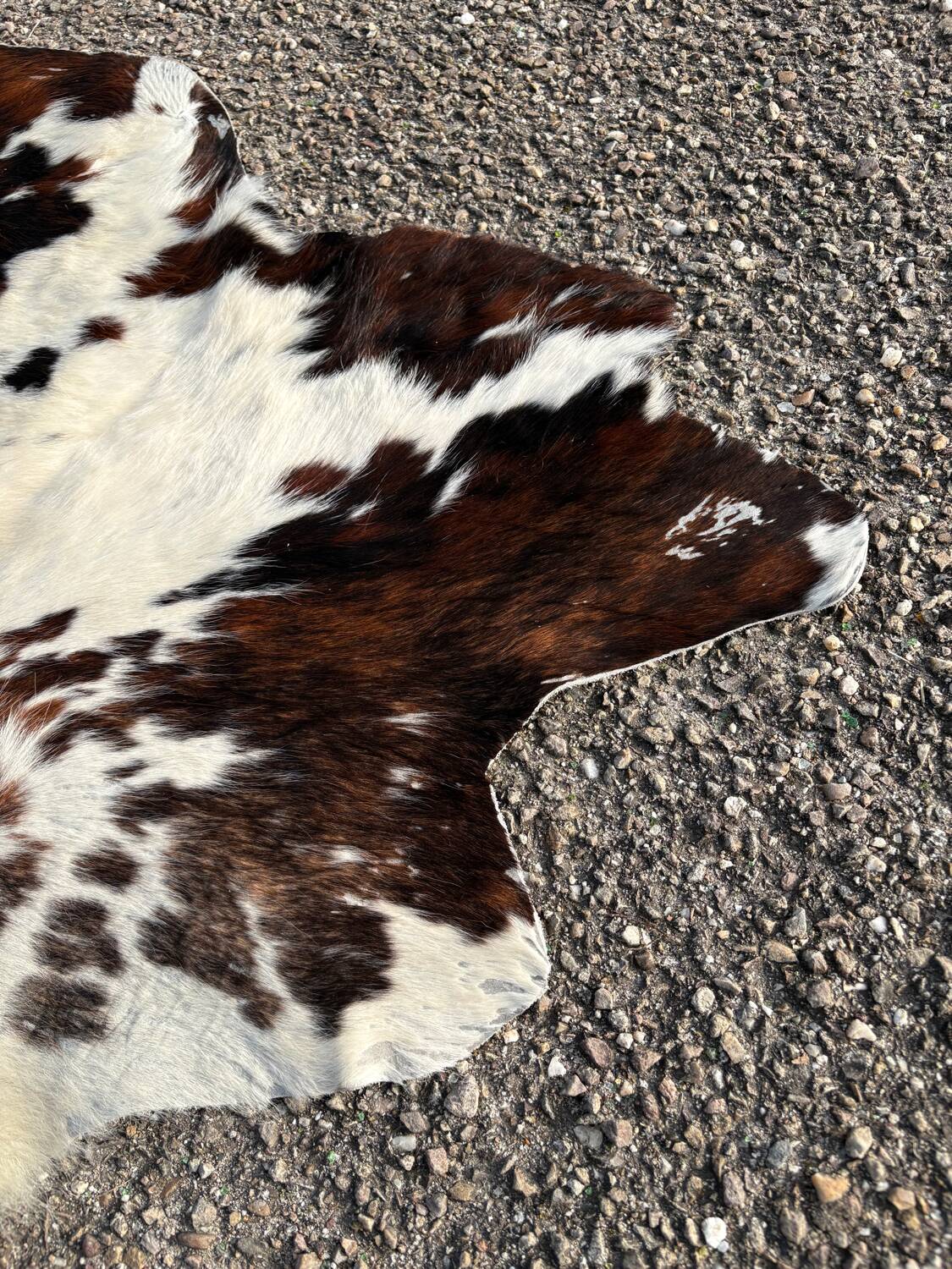 Tapis de vache