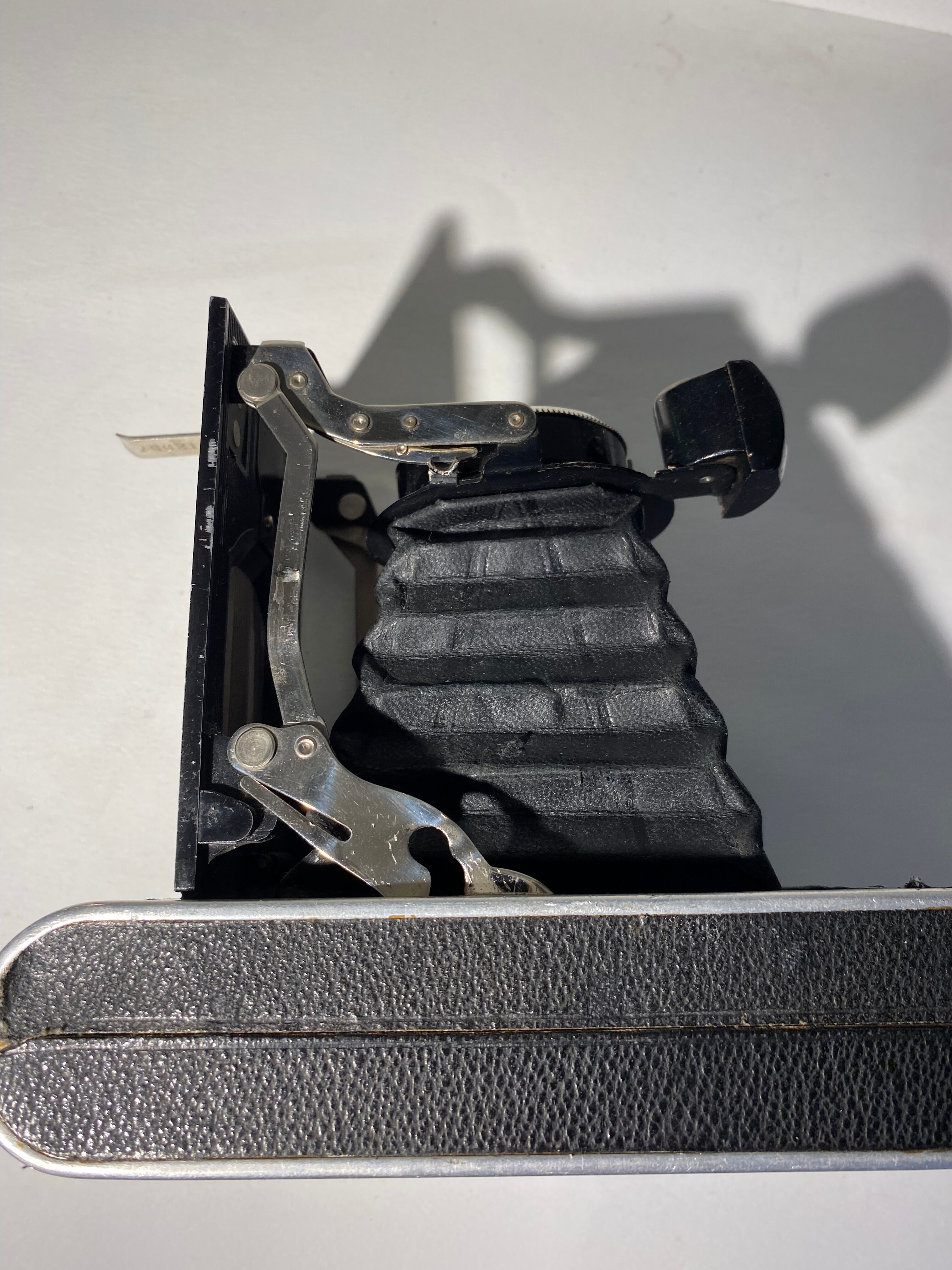 Light XX century brand bellows camera