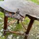 Coffee table log Elm burl? brutalist work 60s 70s