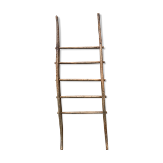 Échelle