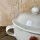 Sarreguemines thistle tureen