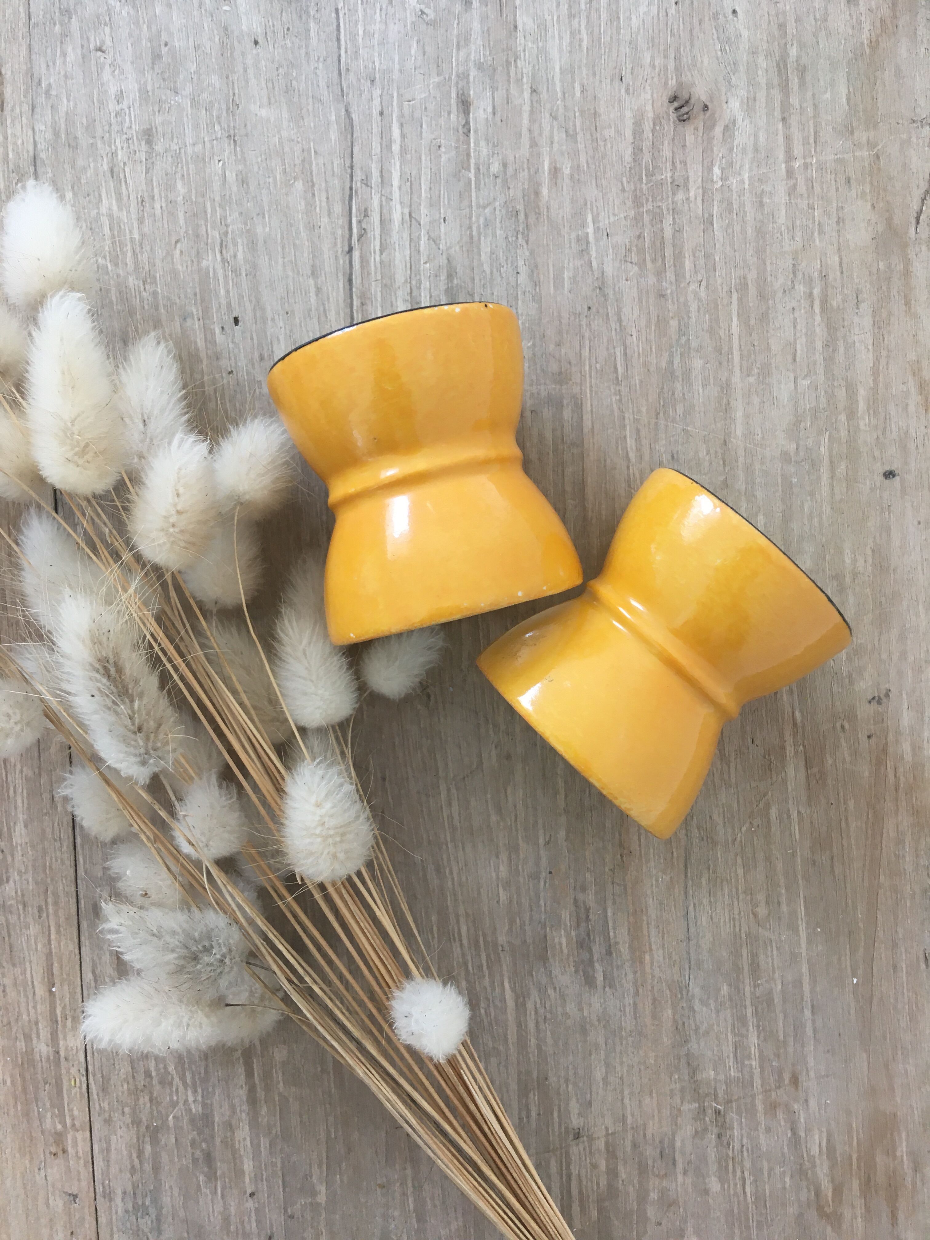 Pair of diabolo cockroaches