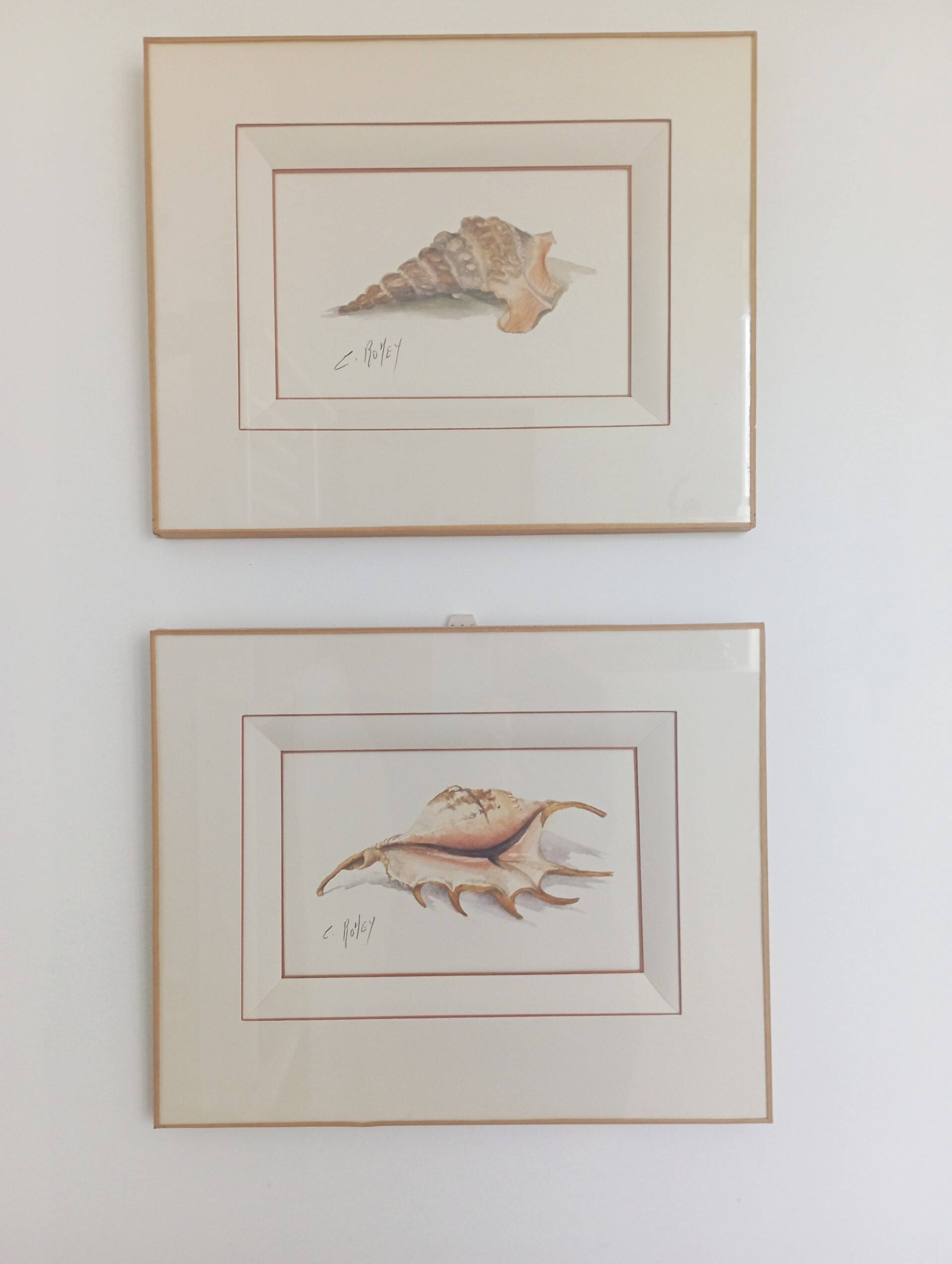 Watercolor signed Romey