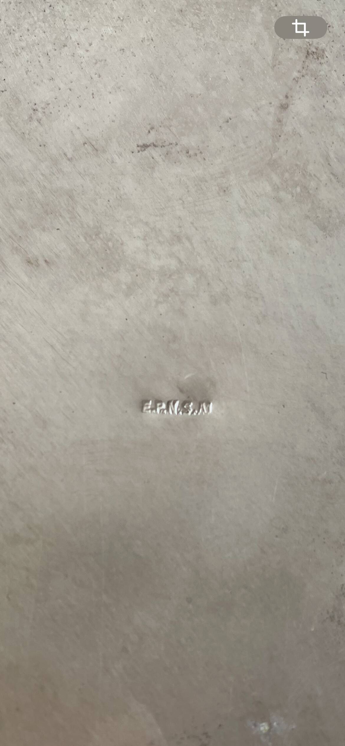 Champagne bucket with swans