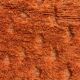 Limona - Tapis berbère Mrirt en laine orange