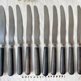10 Vintage knives in wood and steel LA ROSE, silver medal, France