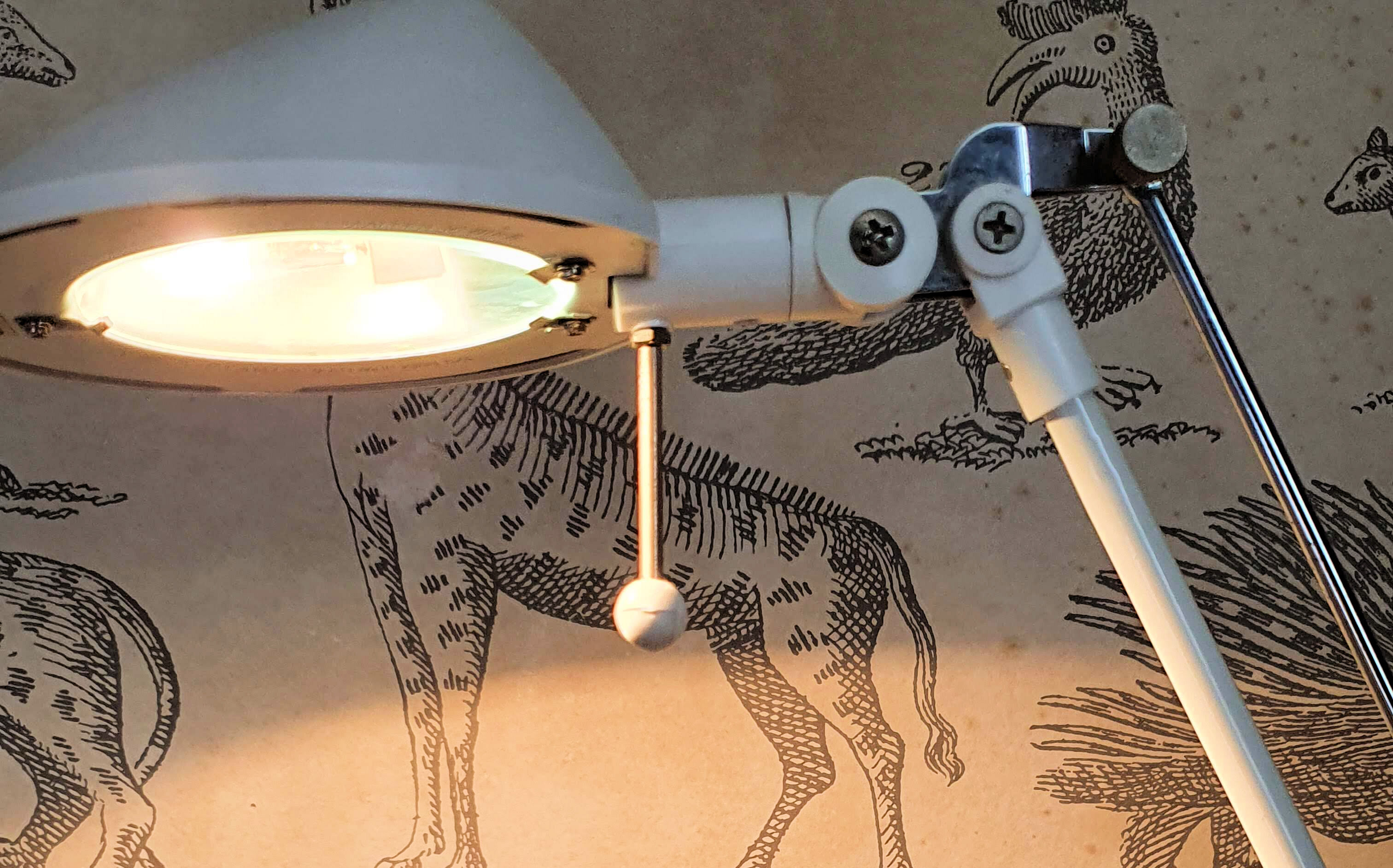 Articulated lamp design 70/80 brand Brilliant