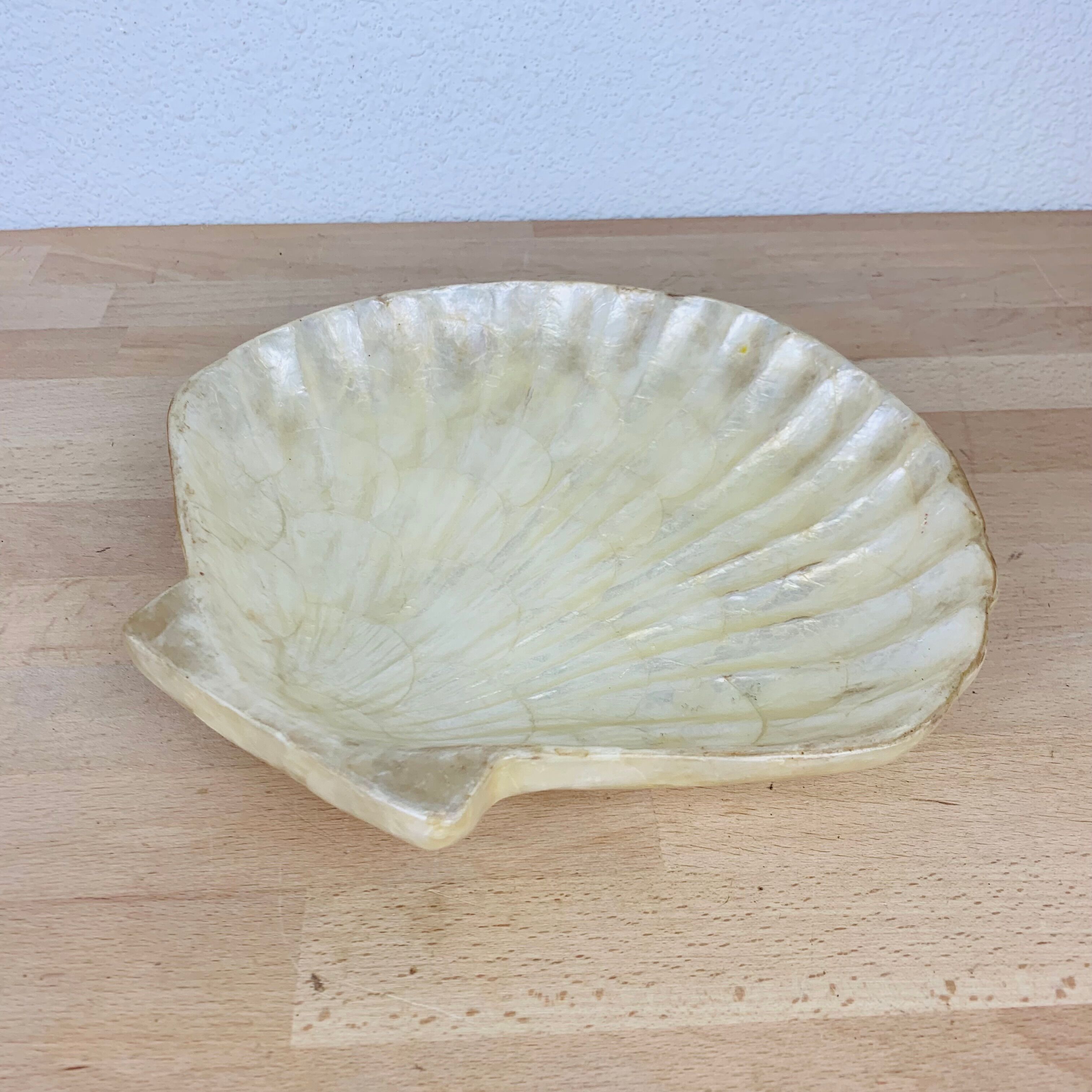 Empty pocket shell mother-of-pearl 60s