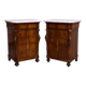 Rare pair of Italian display furniture from the Charles X period in mahogany.