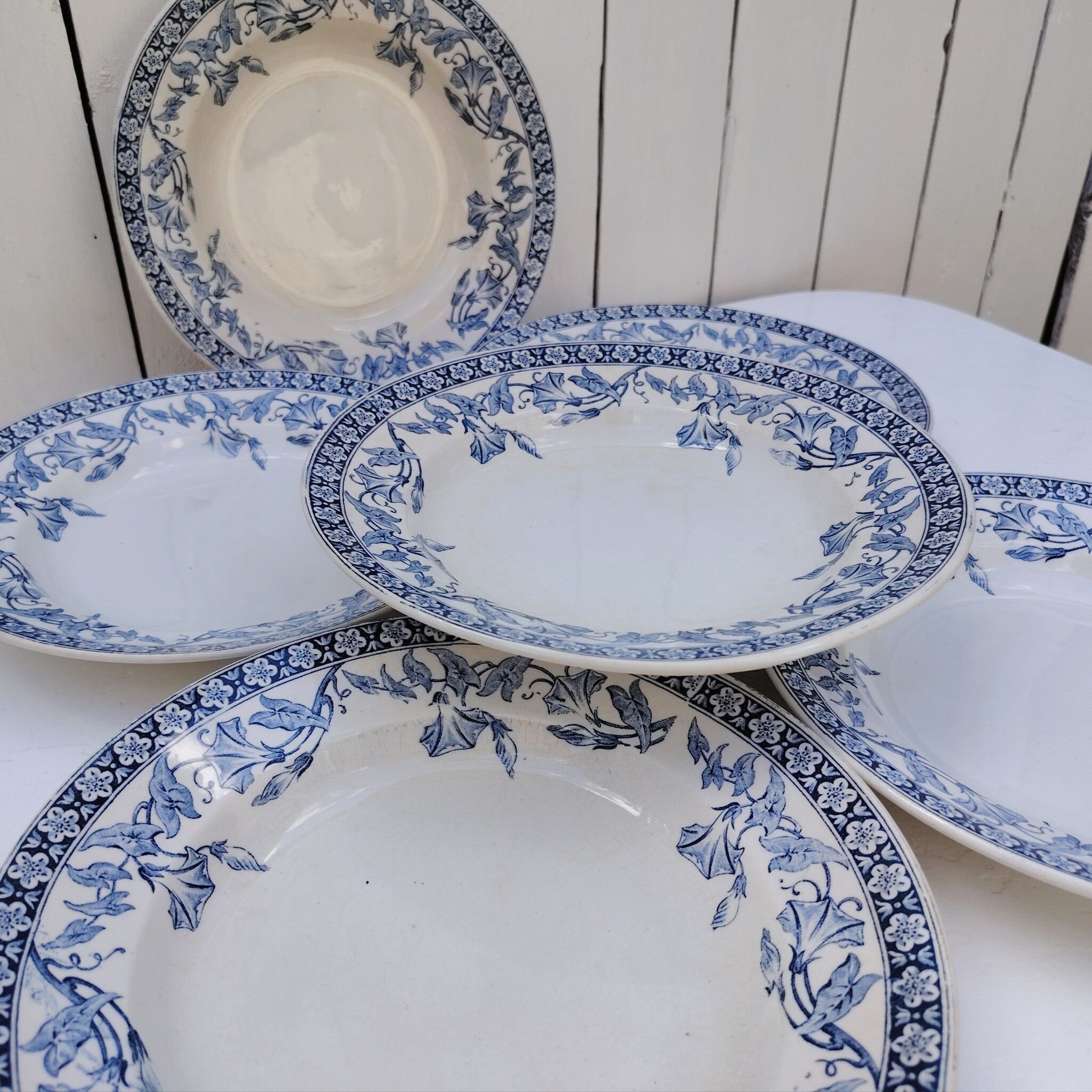 Assiettes creuses, Saint Amand modèle Volubilis, terre de fer