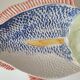 Plat poisson barbotine