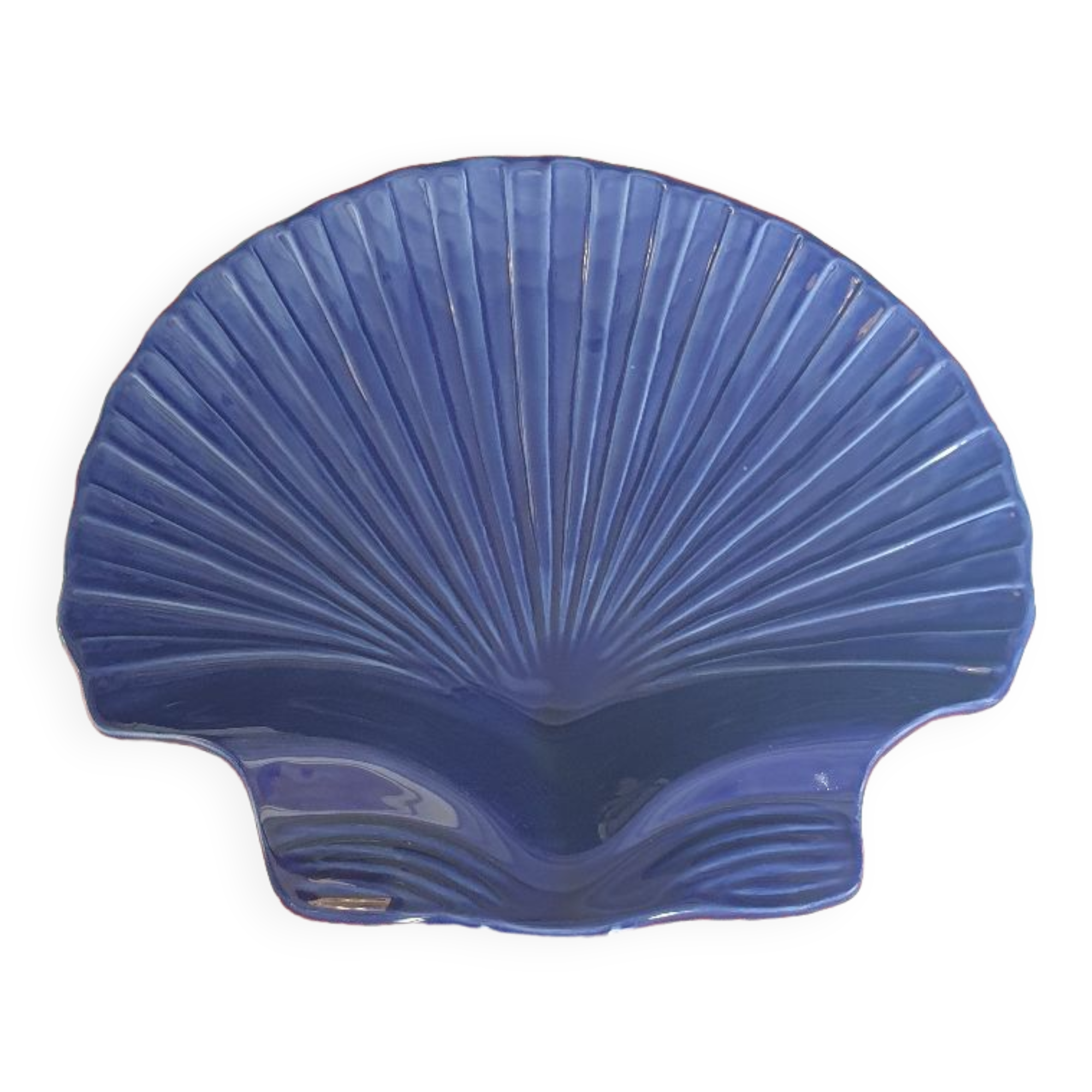 Shell dish