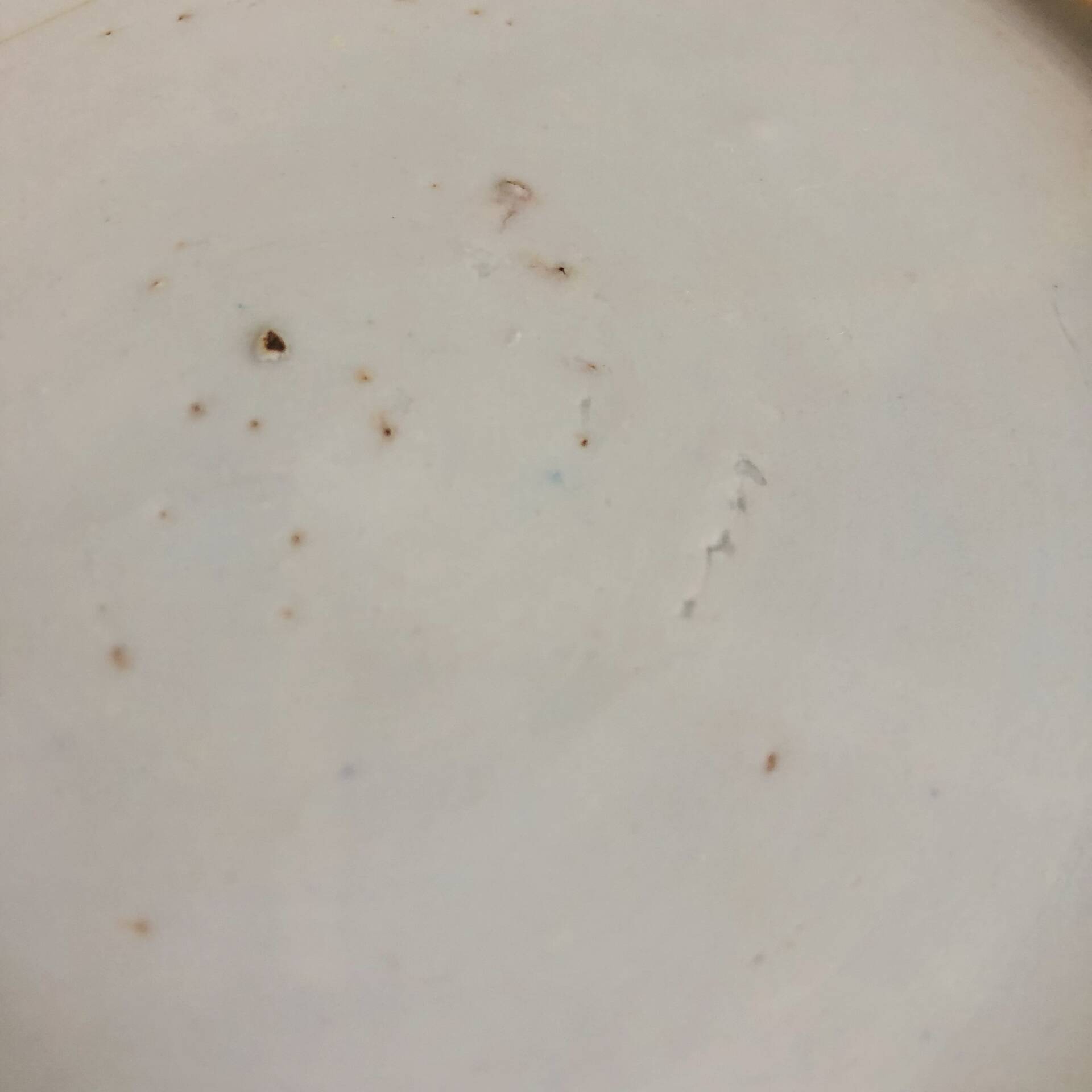 Blue and white porcelain plate from China