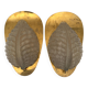 Fritz short brass and glass appliques in the shape of leaves Orrefors, 1960s