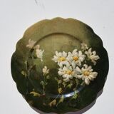 Montigny-sur-Loing Boué-Petit Plate