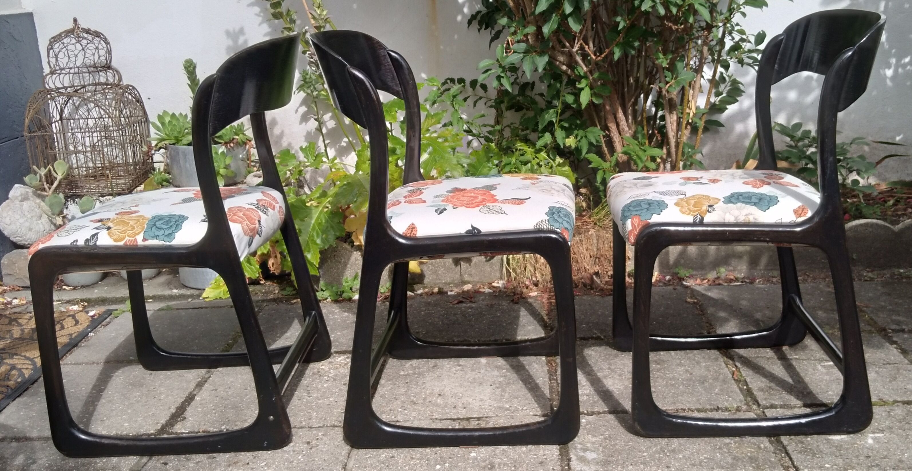 Baumann sled chairs