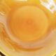 Set of 6 hollow plates Longchamp France mustard - vintage
