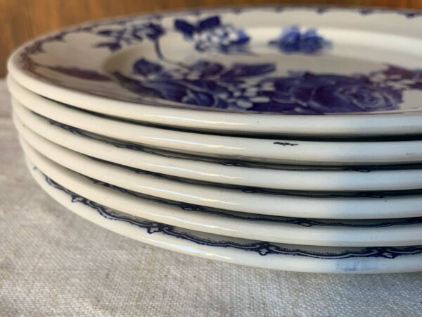 6 assiettes plates anglaises Staffordshire Victoria