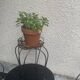 Plant door, iron harness forged twist black and golden and hand-painted ceramic tile