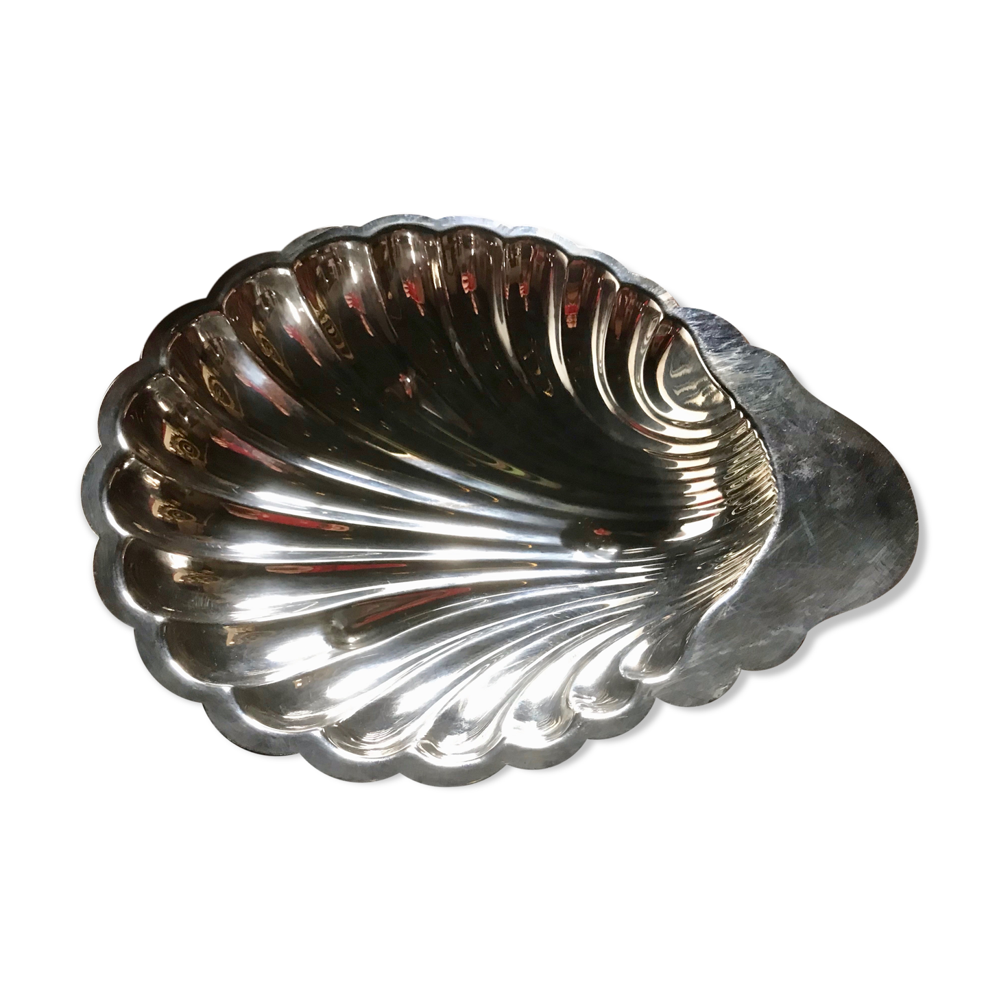 Dish scallops in silver metal