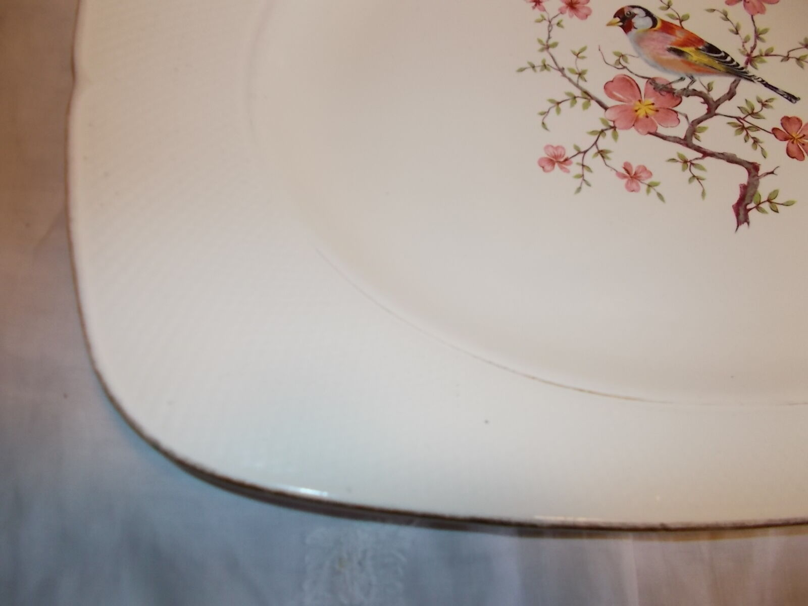 Rectangular plate Salins France
