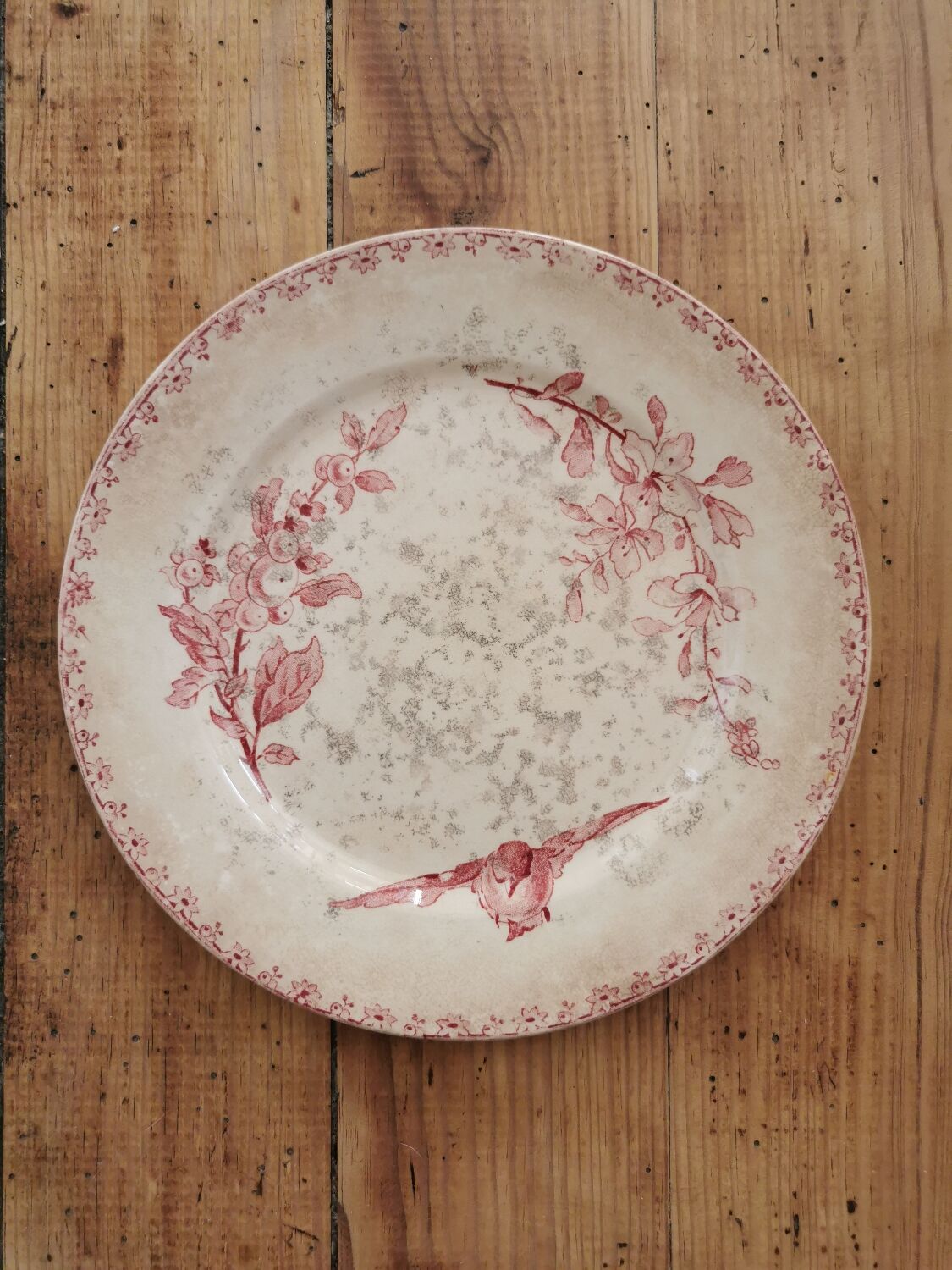 Assiettes anciennes Sarreguemines "Favori"