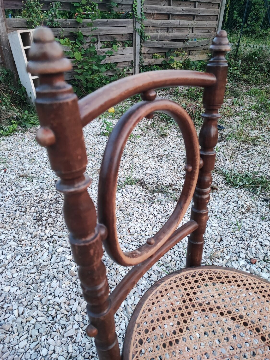 Fischel Austria cane chair