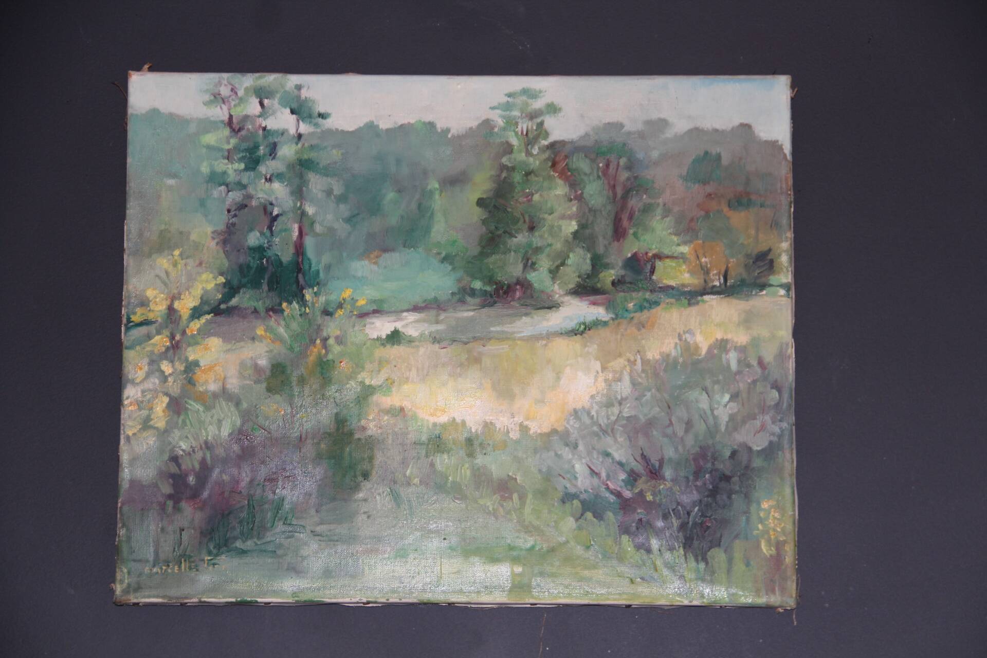 Oil on canvas, rural landscape, signed