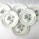 6 assiettes plates fleur rose porcelaine Limoges shabby