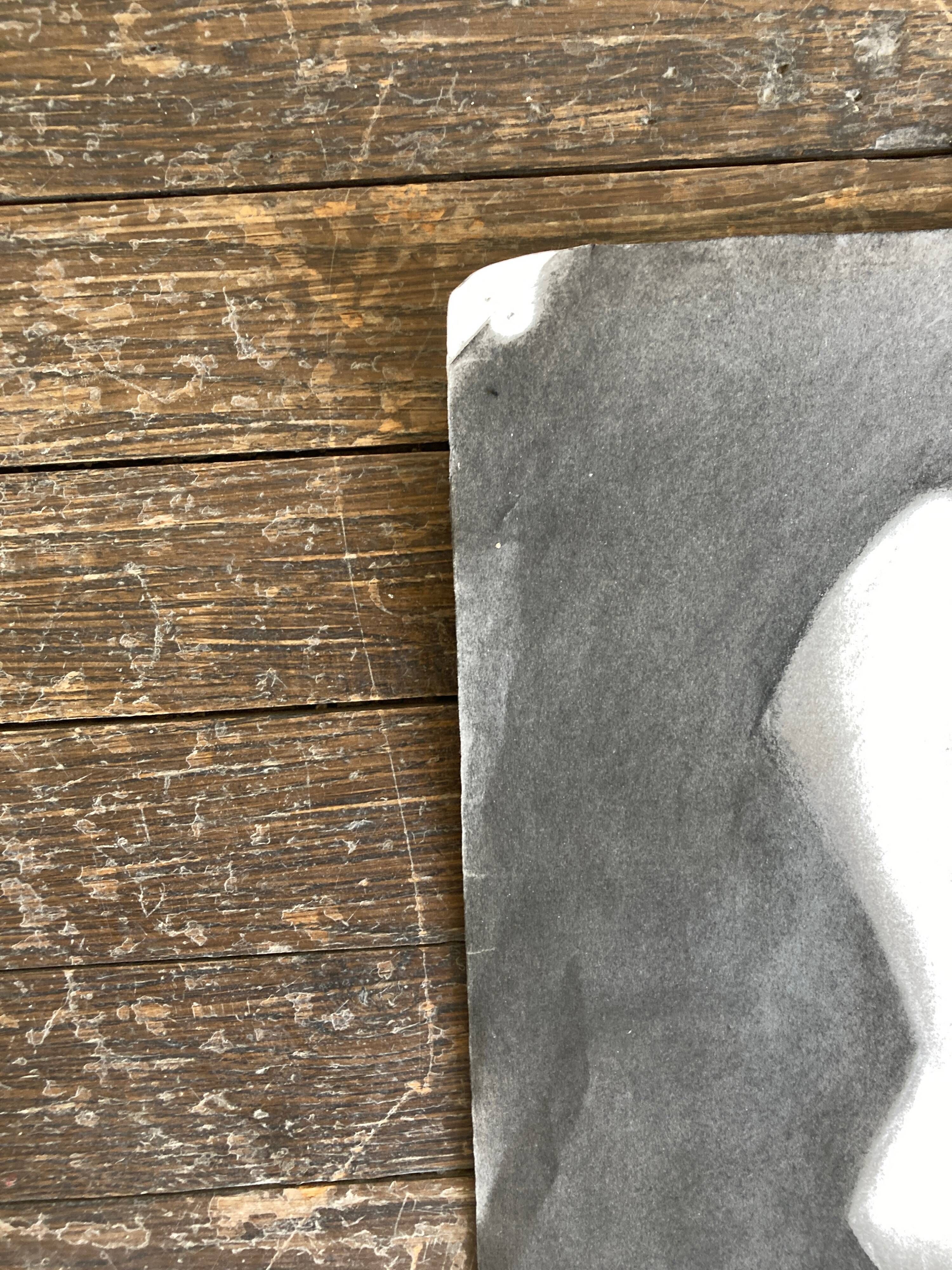 Bust of Venus in charcoal Neoclassical workshop work 1920