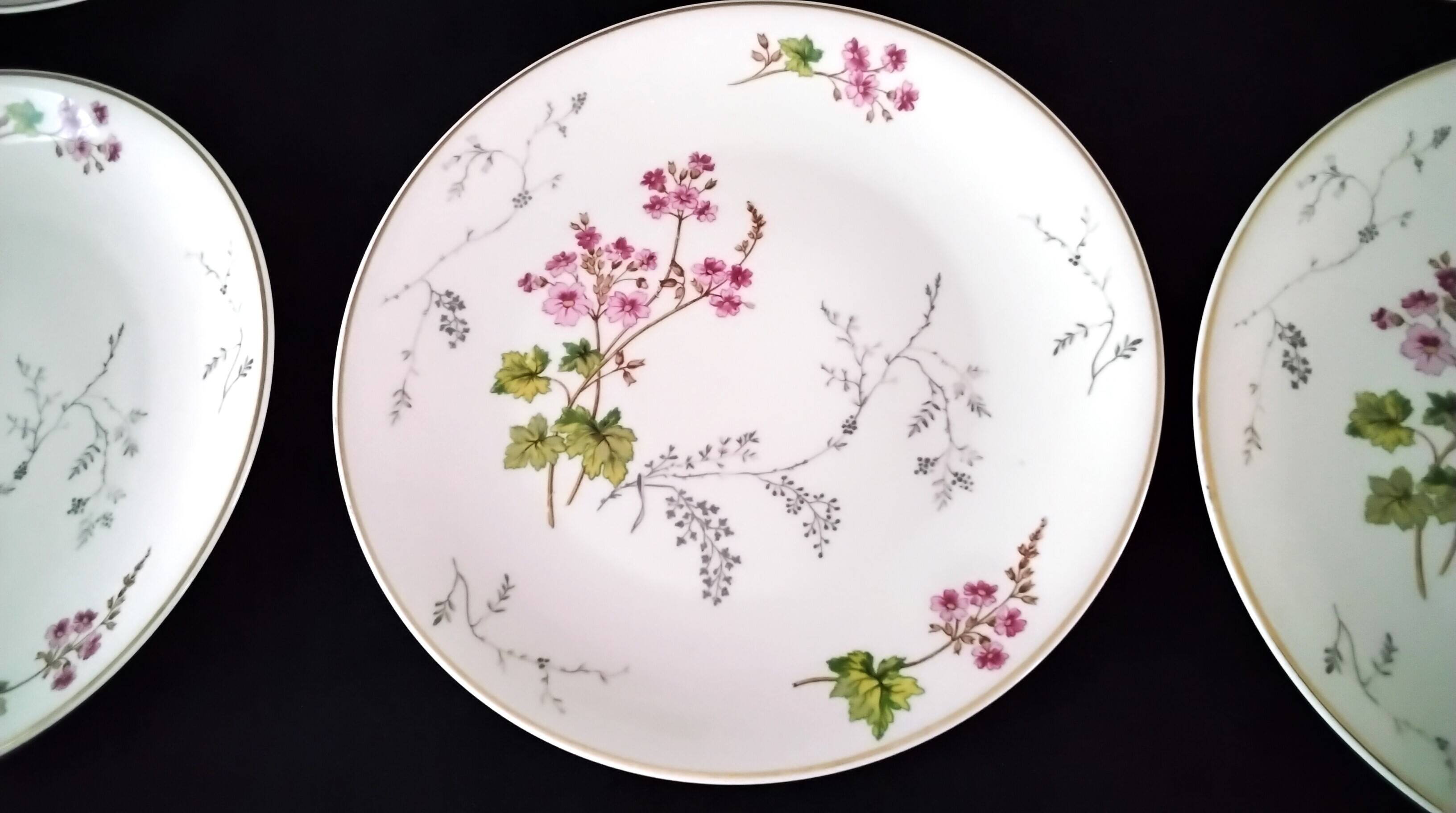 6 Limoges porcelain dessert plates by Ch. Field Haviland