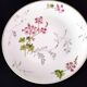 6 Limoges porcelain dessert plates by Ch. Field Haviland