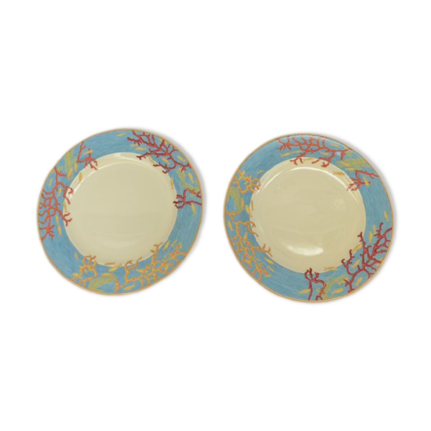 Plates Haviland ocean model