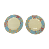 Plates Haviland ocean model