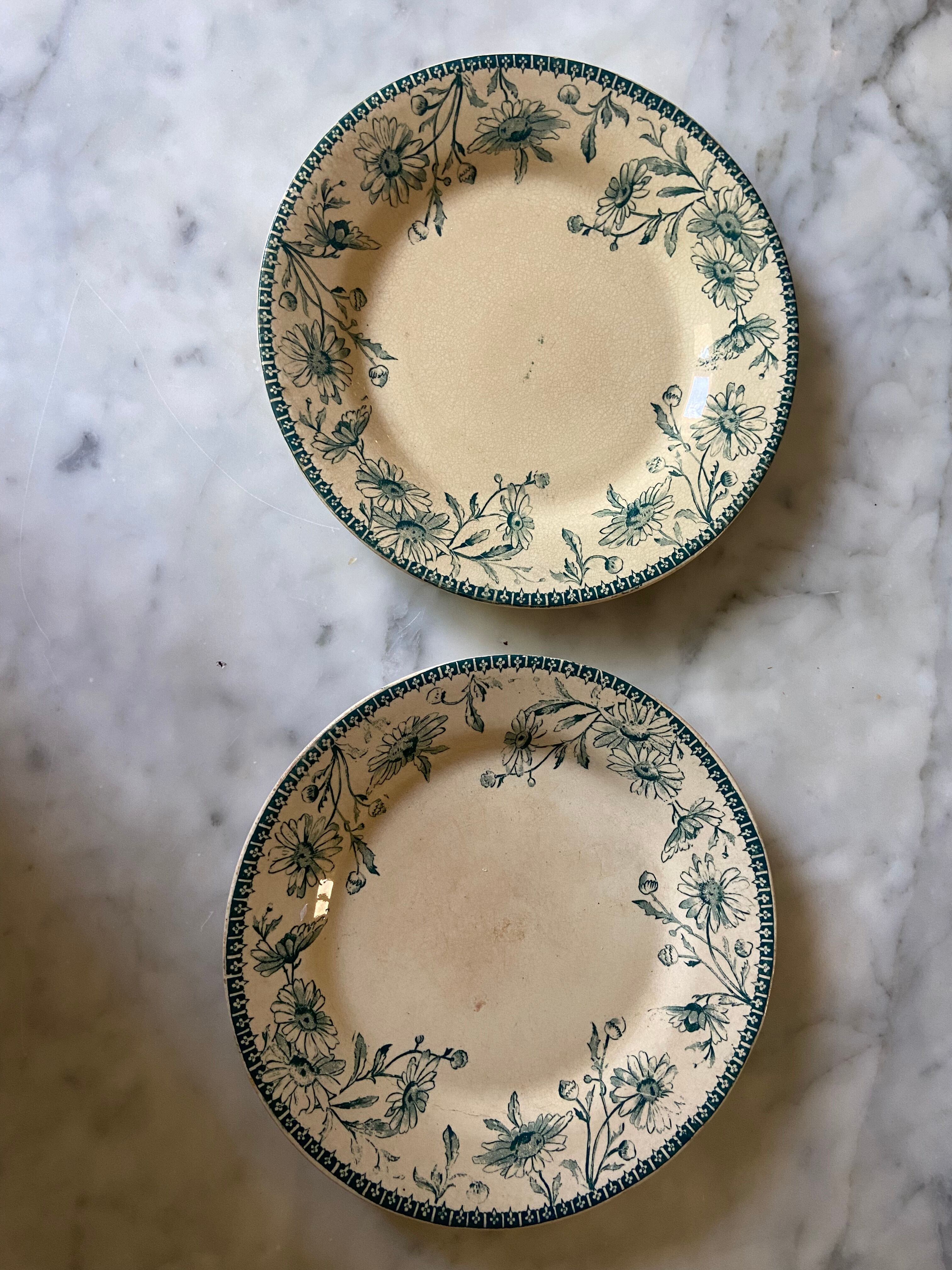 Pair of Iron Earth plates