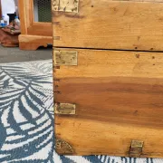 Old camphor wood trunk