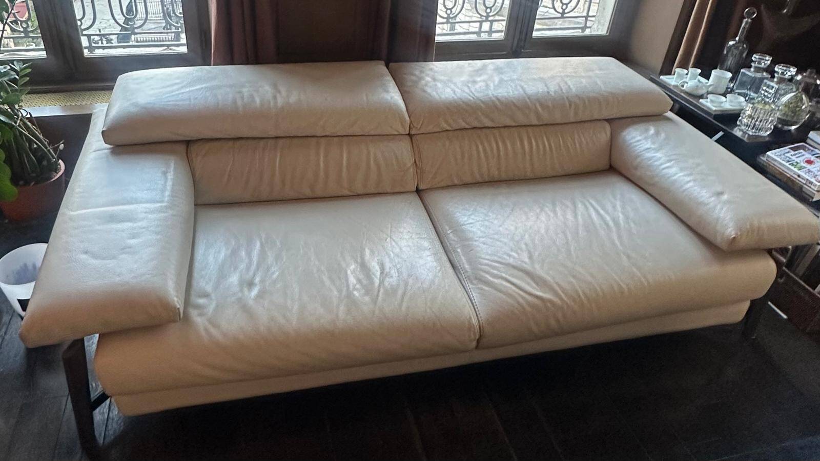 Roche Bobois Sofa