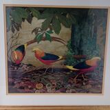 Bird frame