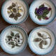 Ensemble de 4 Assiettes à dessert en Barbotine