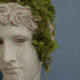 Roman head in waxed plaster
