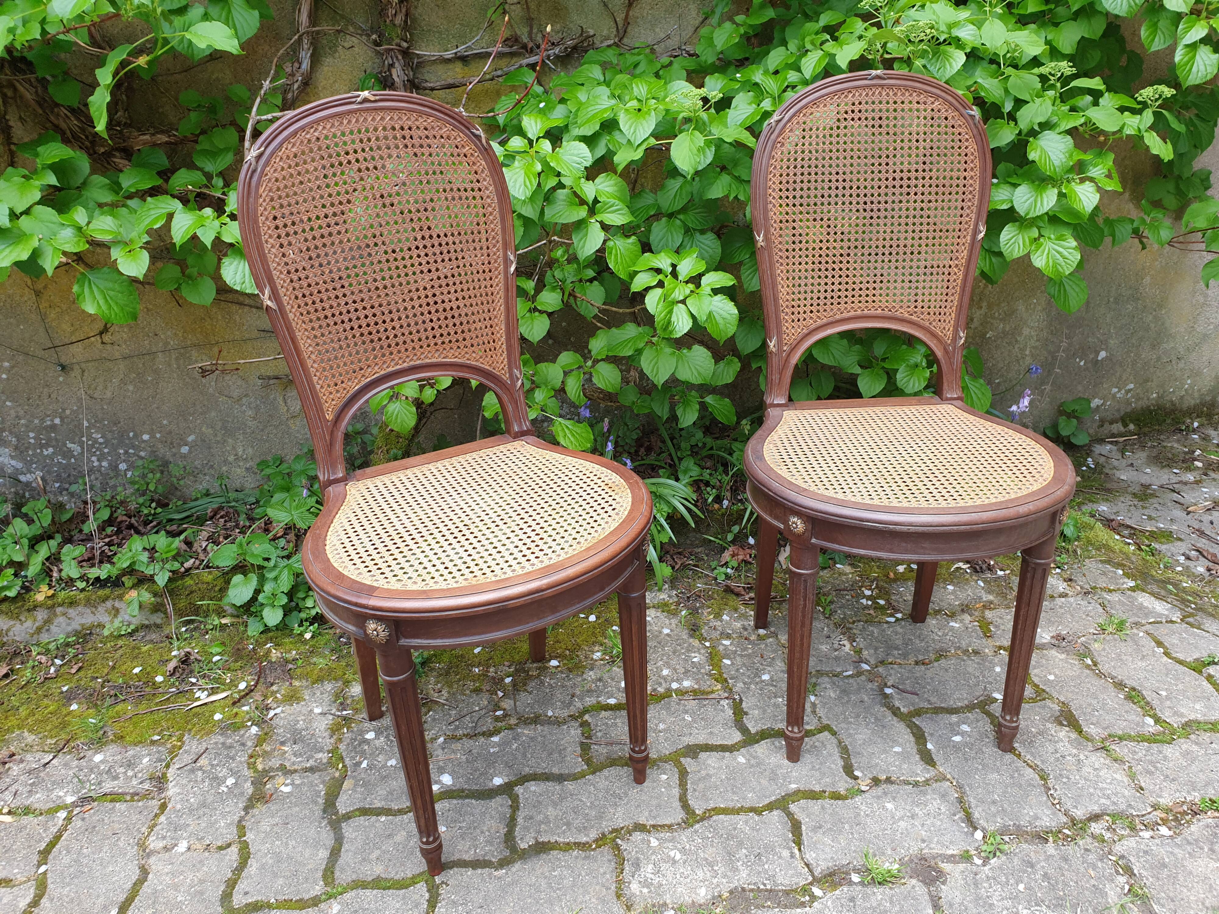 Louis XVI canning chairs